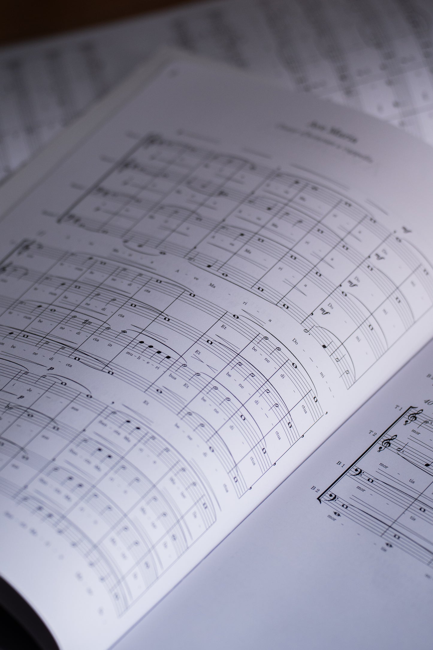 Cantica, Voces graves