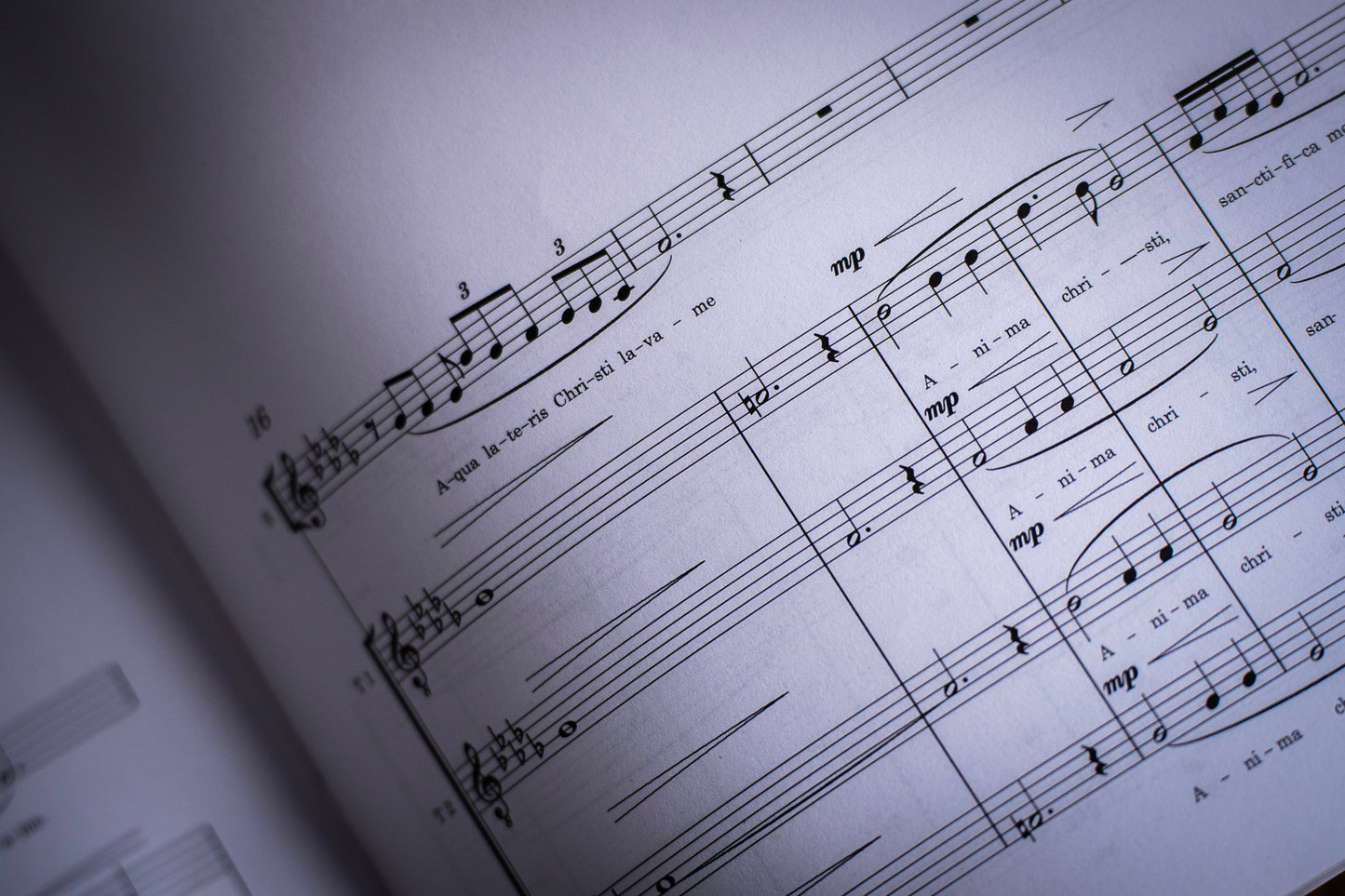 Cantica, Voces graves