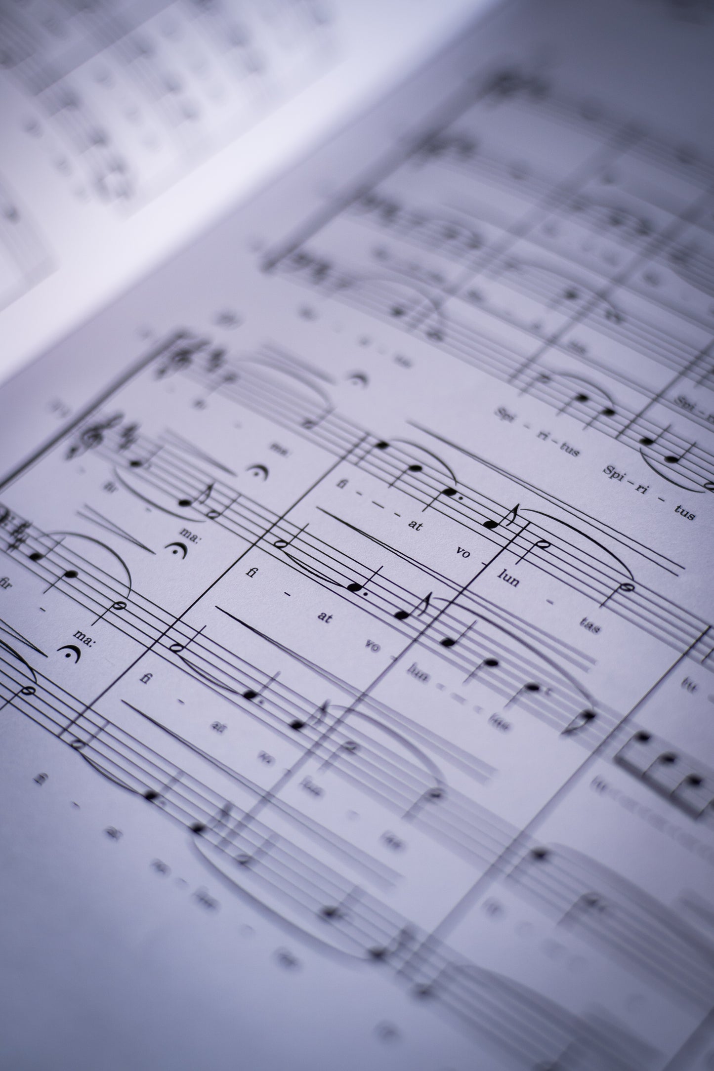 Cantica, Voces graves